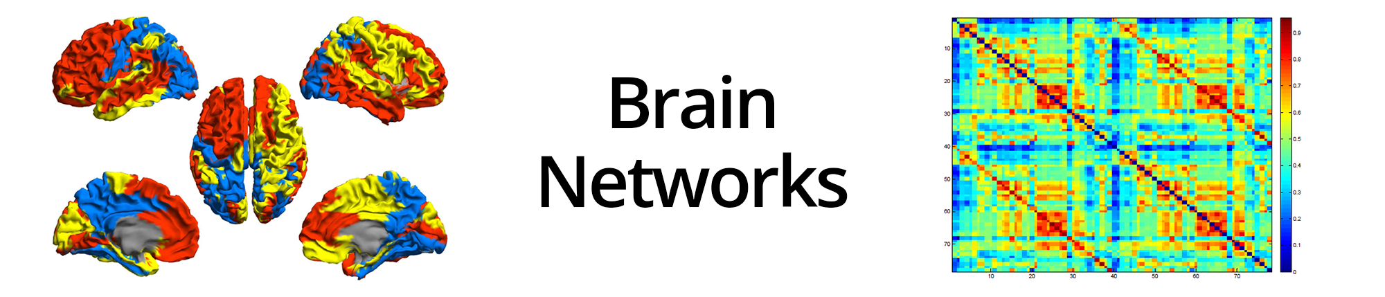 BrainNetworks1.png
